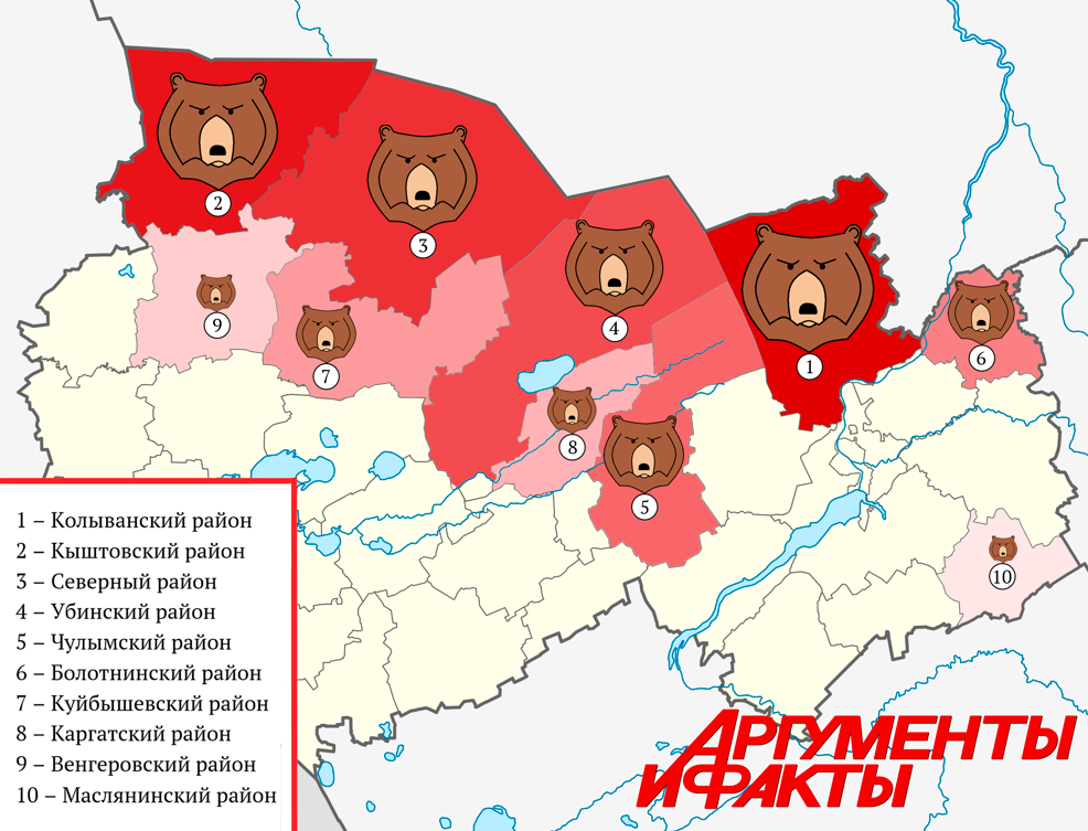 Мишка карта. Медведи в Новосибирской области карта. Медведи в Новосибирской области. Карта обитания медведей в Московской области. Карта количества медведей.