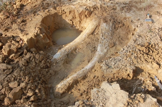 Кликните, чтобы развернуть.