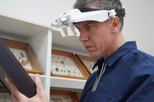 Андрей Мирошников много лет изучает мир насекомых нашего региона.