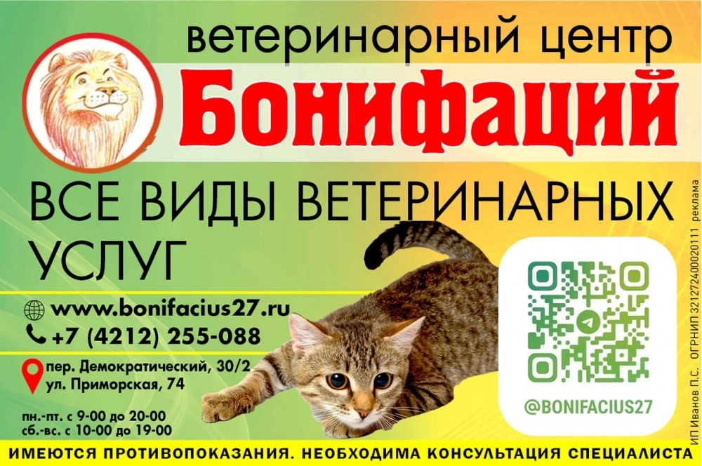Реклама. ИП Иванов П.С. ИНН 272336677168. erid: 2W5zFJ7pM9B