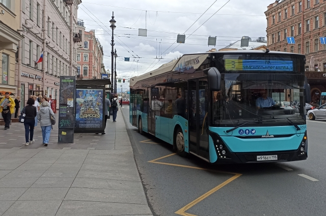 Новая сеть позволит запустить вместительные автобусы и троллейбусы.