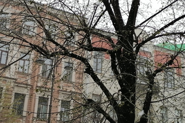 Улица Чайковского под майским снегом.
