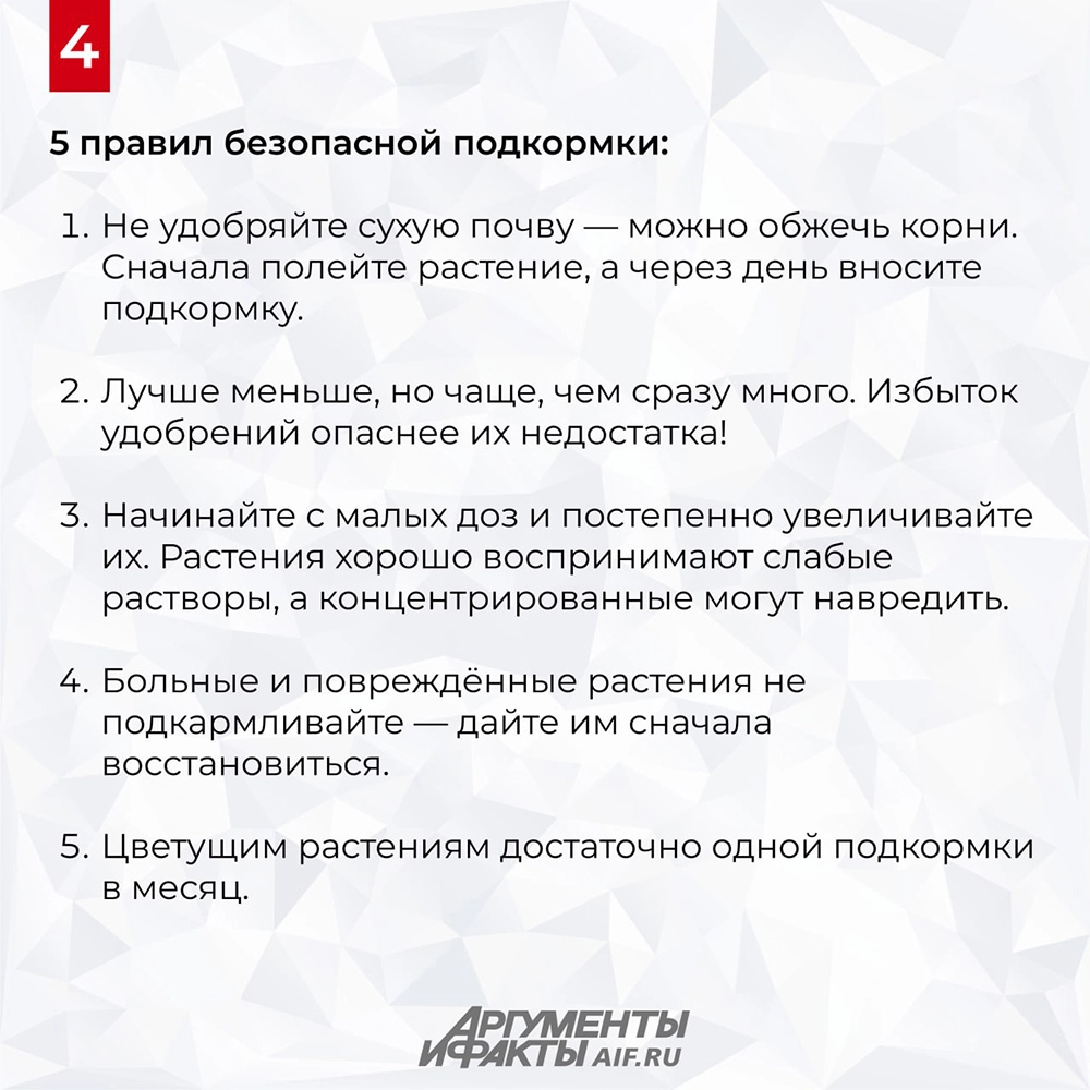 Нажмите для увеличения