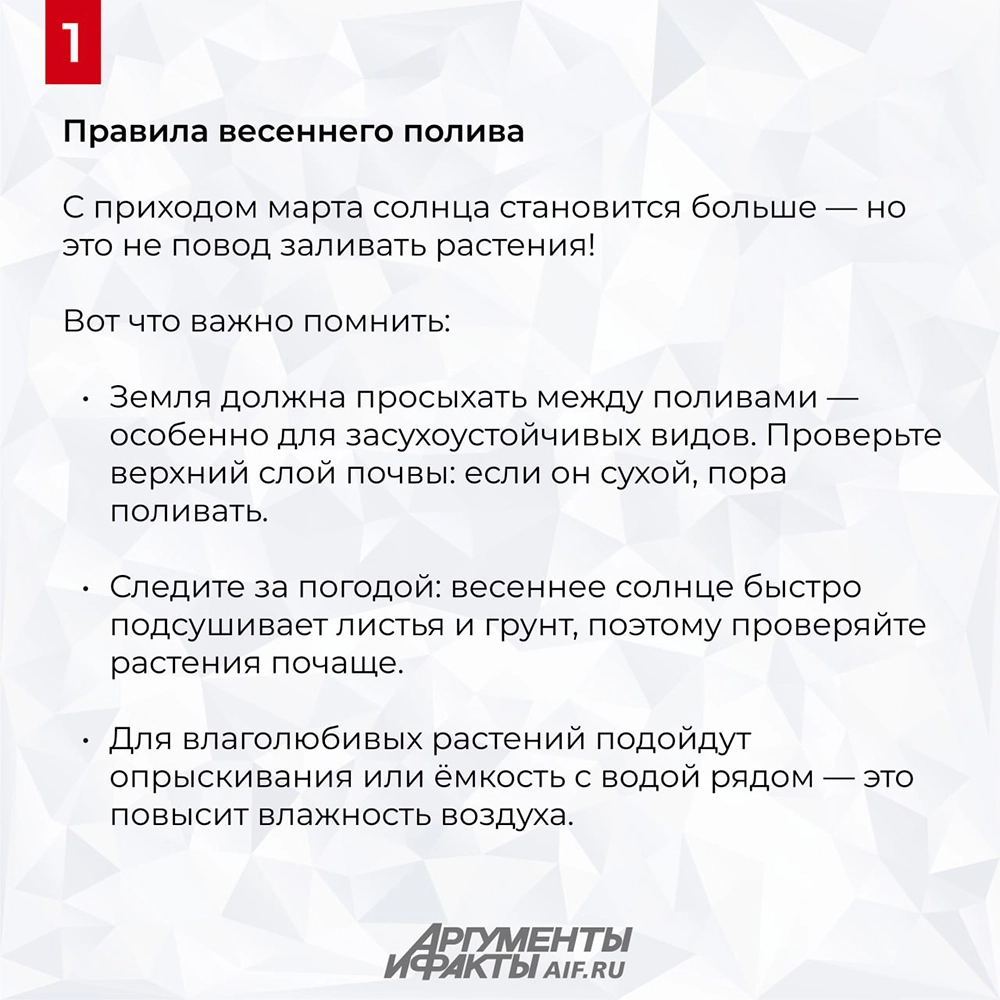 Нажмите для увеличения