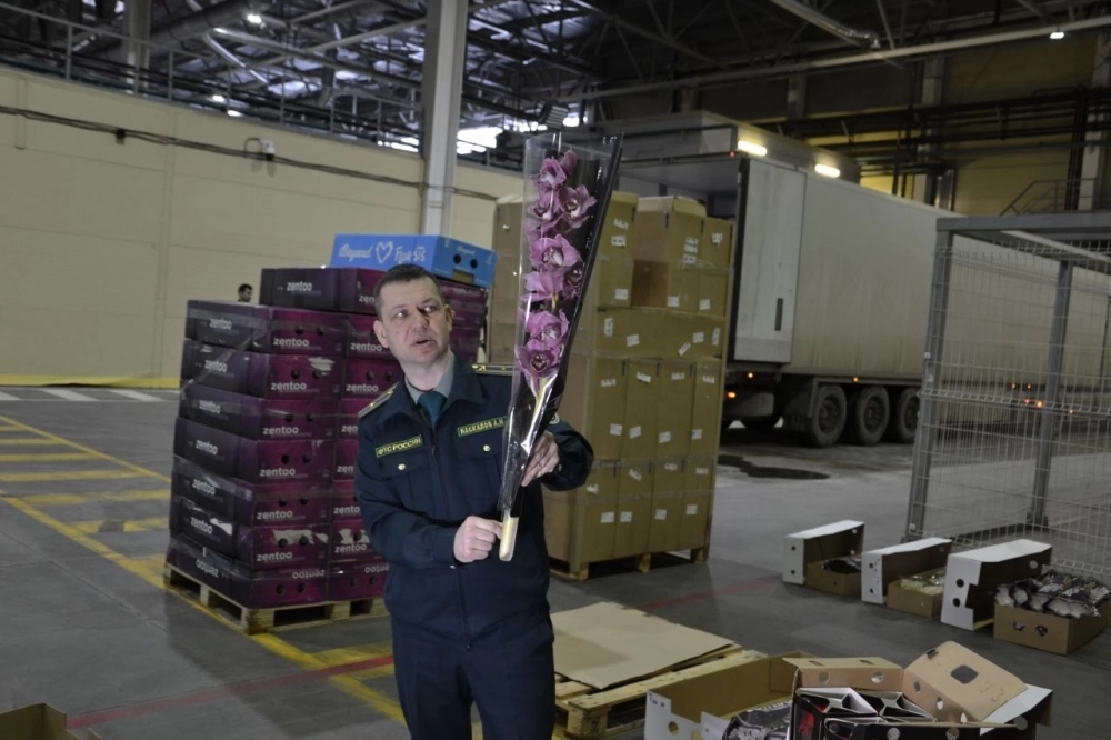Начальник таможенного поста аэропорта Кольцово Андрей Наскалов принимает очередную партию цветов.