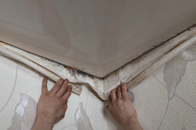 Шатск, улица Садовая, 9а.