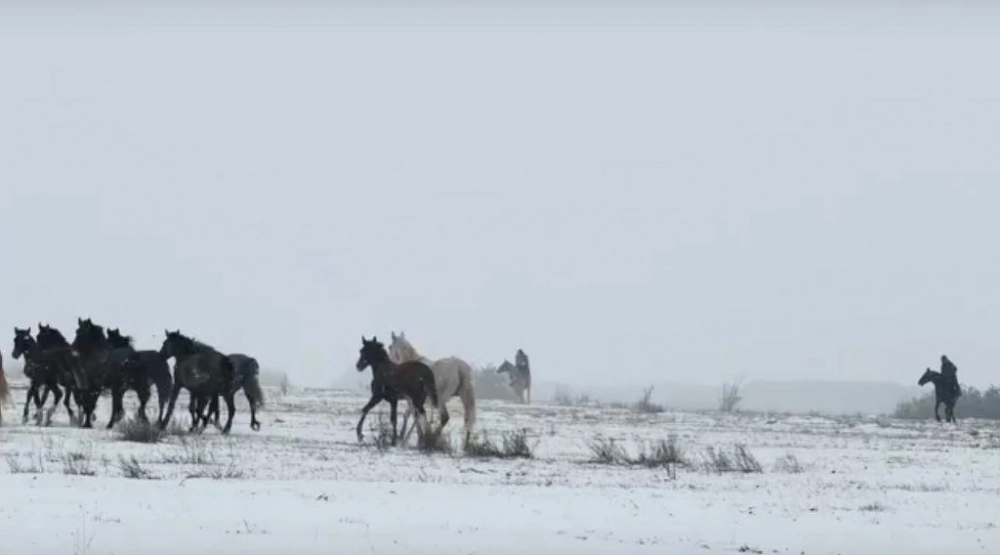 Многие привычные зимние стоянки и конюшни были ранее проданы старым владельцем за долги.