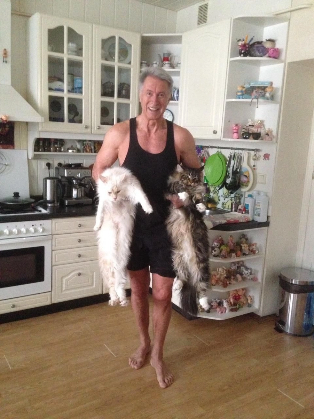 Геннадий Алексеевич обожает своих мэйн-кунов