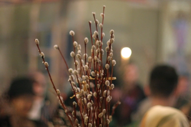 Самый главный обычай — освящение вербы. Веточки приносят в храм накануне вечером или в само воскресенье утром. Священник окропляет их святой водой.