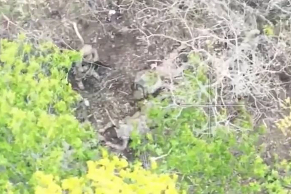 Взятие бойцами группировки «Север» опорного пункта ВСУ в Сумской области (вид с коптера).