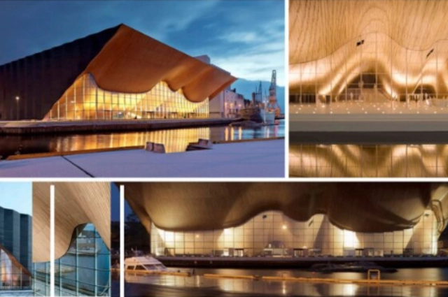 Один из проектов краевого музтеатра.