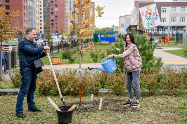 Новые деревья появились в экорайоне Ростова.