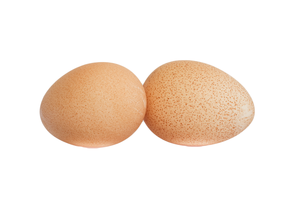 Какие яйца самые полезные для организма