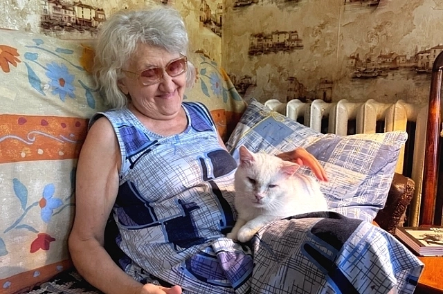 Один из котов, белый и пушистый, удобно развалился на коленях хозяйки.