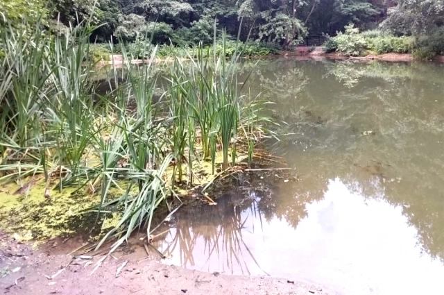 Река не должна быть водоёмом со стоячей водой.