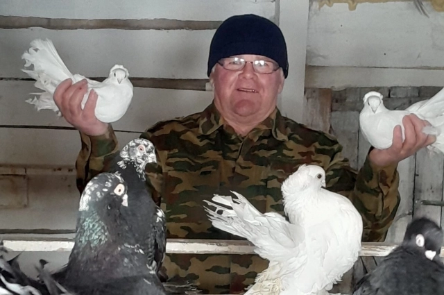 Голубт - отдельная любовь.