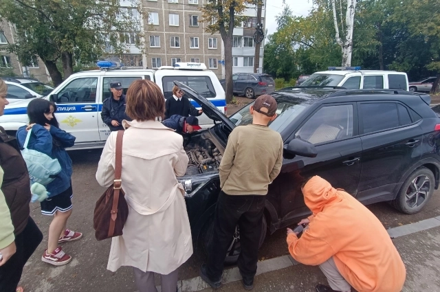 О котёнке сообщили дети.
