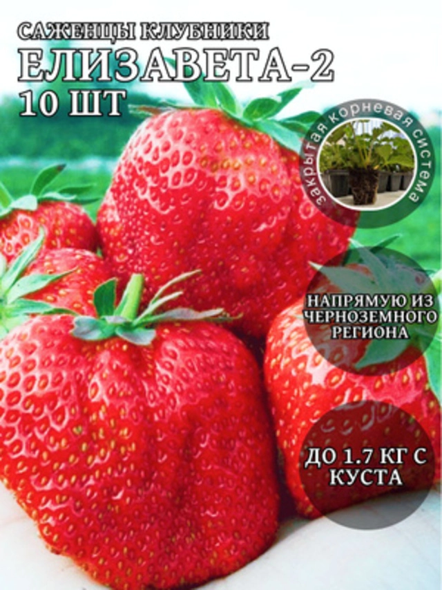 Елизавета II