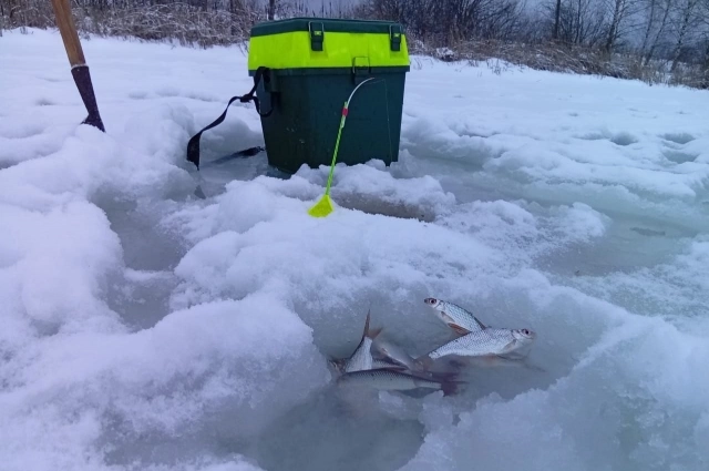 Скромный трофей - это тоже результат, хотя многие рыбаки отпускают подобный улов.