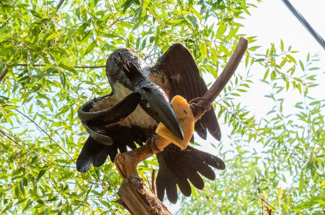 Баба-яга не против. Как в Висиме появилась уникальная «Усадьба Черепанова»