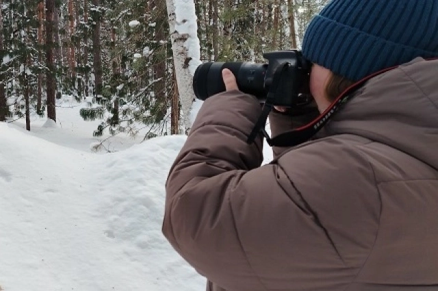 В этом году в переписи воробьёв приняли участие в два раза больше желающих, чем в прошлом