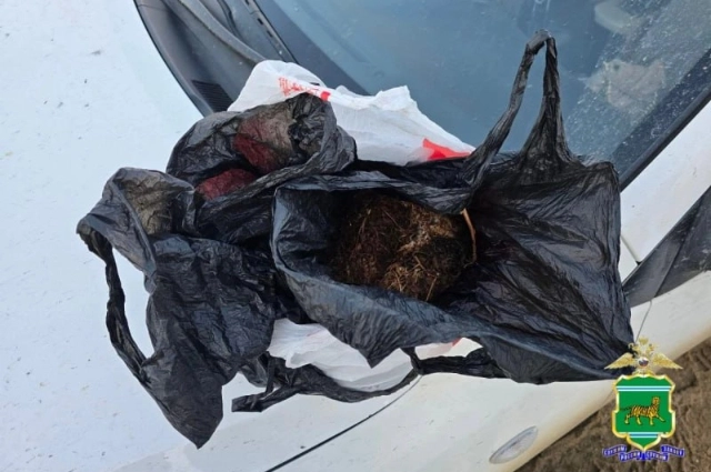 Задержание 