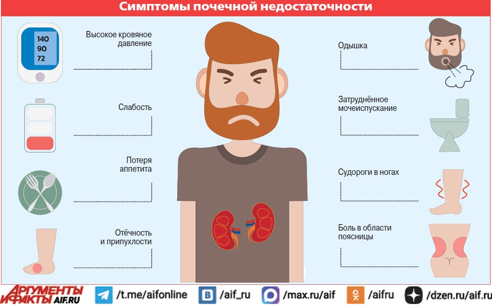 
        Безотказные органы. Как связаны хроническая болезнь почек и сердце    