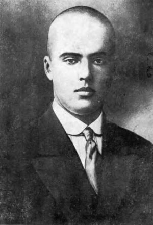 Сергей Лазо принимал активное участие в становлении советской власти в Сибири и на Дальнем Востоке.