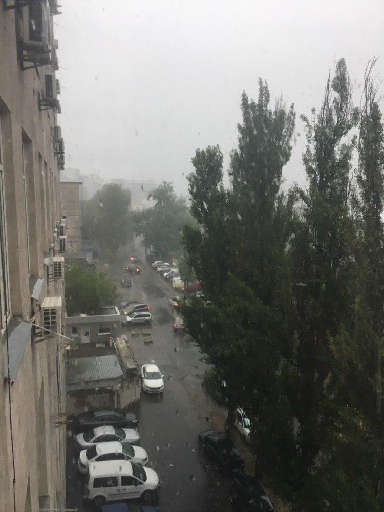 тормента