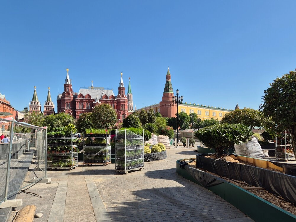 Сады и цветы, манежная площадь, пальмы