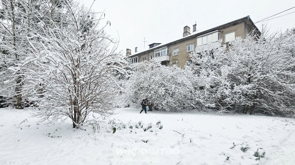 Снегопад, снег, зима