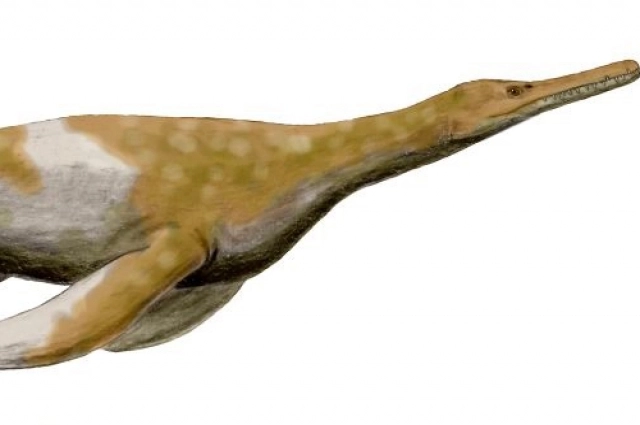 Георгиазавр приходится родственником мифическому лох-несскому чудовищу.