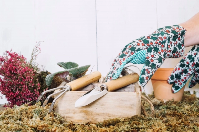 Запрещено заниматься земельными работами.