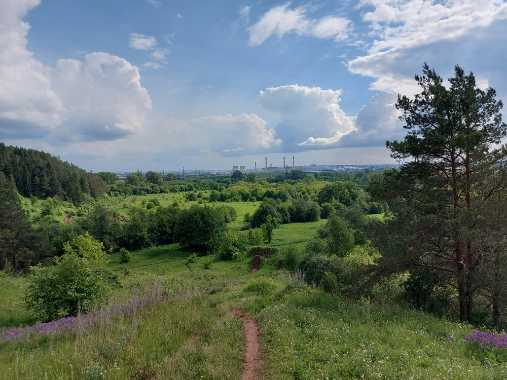 Андроновский лес
