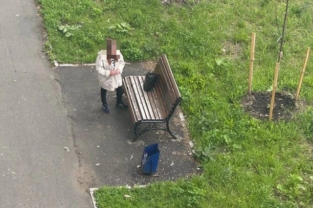 Утренний вид с балкона.