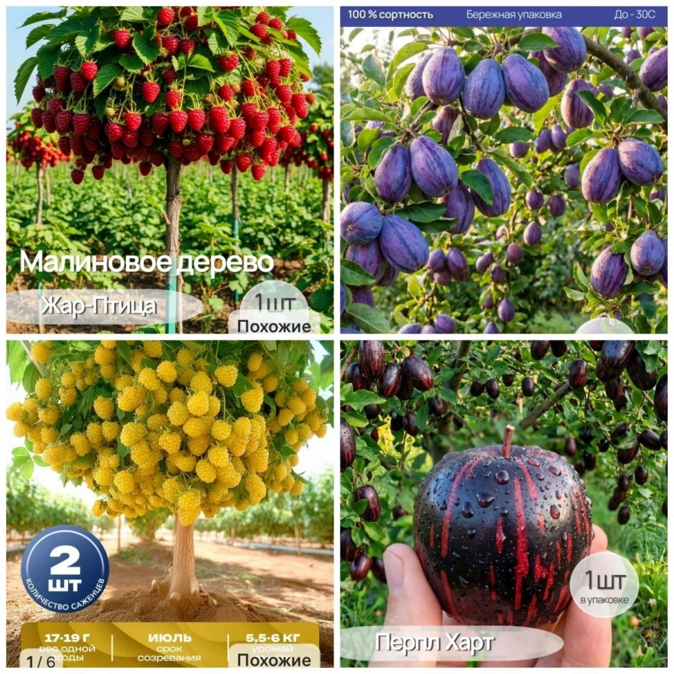 А тут какое буйство красок и форм!