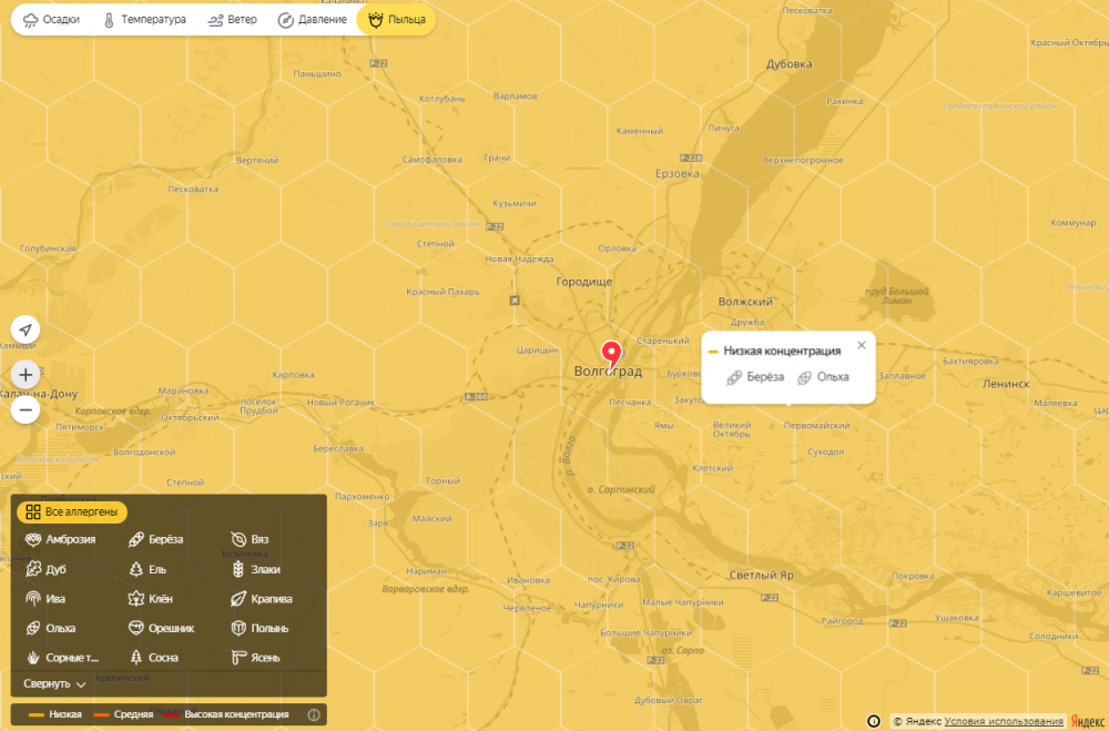 Карта пыльцы. Карта пыльцы для аллергиков. Пыльца в москве сегодня