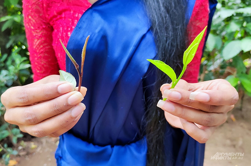 Цейлонский чай.