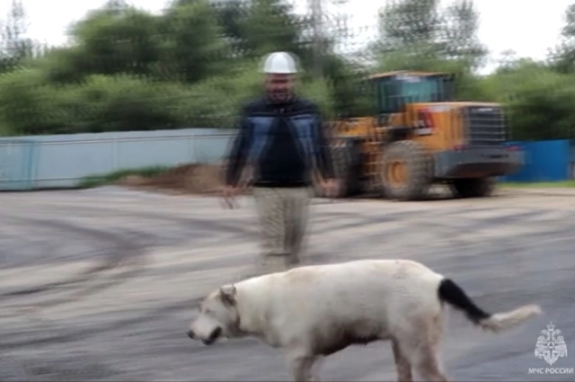 Спасатели спасли Балу