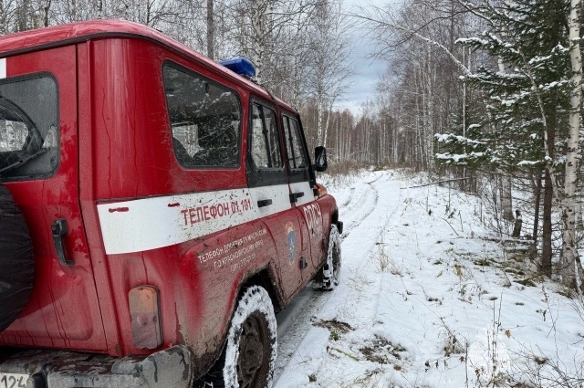 Так там сейчас.