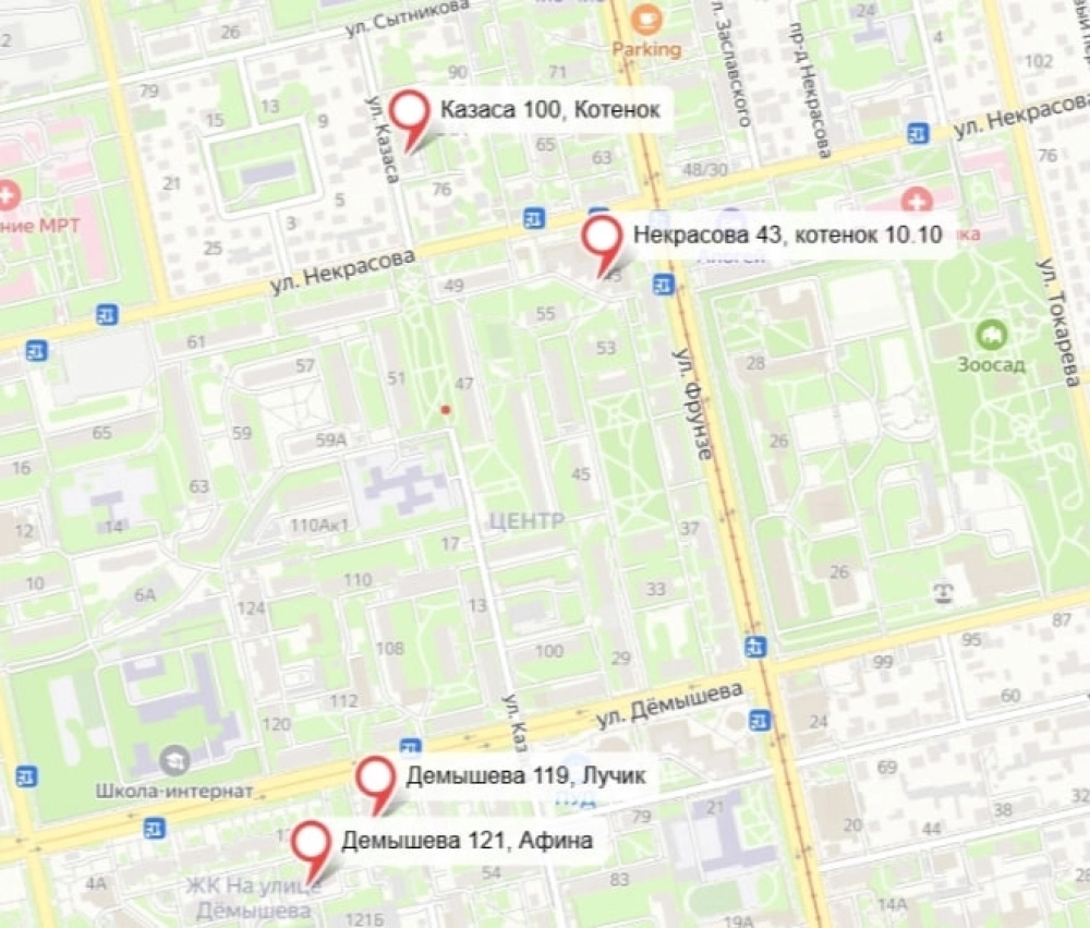 Карта, где отмечены места обнаружения пострадавших животных. 