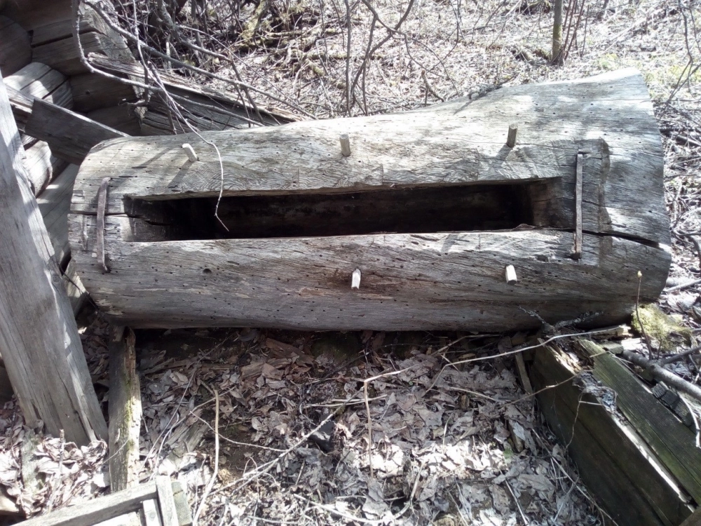 Не так давно Андрей Робертович нашёл в лесу старинный улей, что доказывает - пчеловодством здесь занимались и в давние времена.