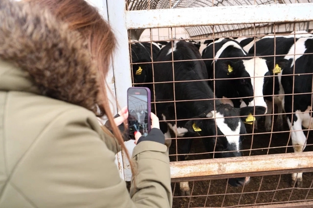 Популярностью пользуется агротуризм