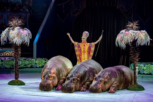 шоу Гии Эрадзе