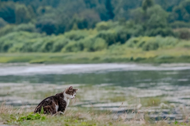 Плакать не о чем! В Усть-Утке соседствуют души сплавщиков и Сергея Есенина