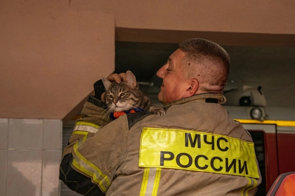 Ну, и обнимашки со спасателем, конечно.