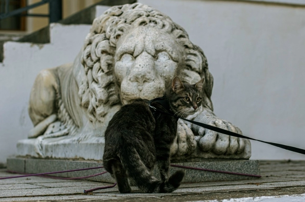 Возле скульптуры дальнего родственника в университетском парке.
