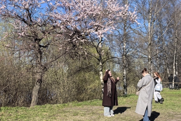 Каждый ярославец оставляет в своем телефоне кусочек Японии.