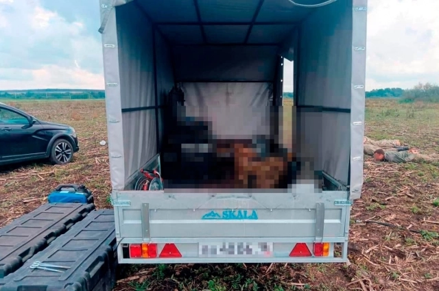 Эксперты отмечают, что в нынешних условиях бдительность граждан оправданна.