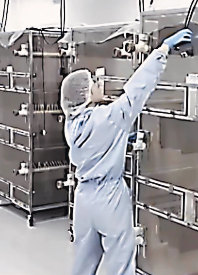 Комариная ферма в Бразилии.